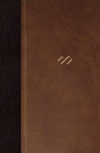 Reina Valera 1960 Biblia temática de estudio, marrón