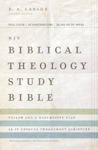 NVI, Biblia de Estudio Teología Bíblica